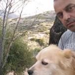 Греческий стоматолог посвятил себя спасению собак