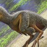 Обнаружены окаменелости птенца одной из первых птиц на земле