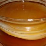 Чайный гриб - медузомицет (меdusomyces gisevi)