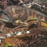 В австралии найдены детеныши динозавров