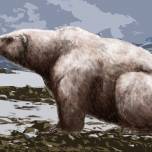 Гигантский белый медведь (лат. ursus maritimus tyrannus)
