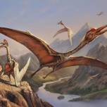 Выяснилось, как птерозавры учились летать