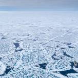 11 интересных фактов о северном полюсе