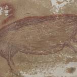 В индонезийской пещере обнаружили одно из древнейших изображений животных