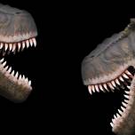 Почему ученые не могут «возродить» динозавров