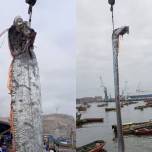 В чили рыбакам удалось поймать сельдяного короля длиной пять метров