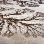 Фотопроект «дельта» от фотографа дикой природы пола никлена