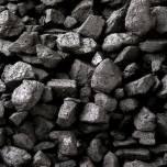 Раскрыт секрет образования каменного угля