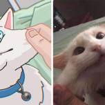 Смешные изображения кошек, найденные в интернете и воссозданные в рисунке