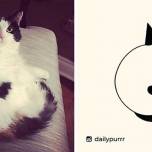 Самые известные в интернете кошки, проиллюстрированные daily purrr