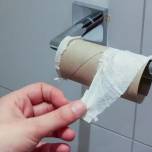 Чем люди пользовались до туалетной бумаги?