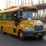 Как выглядят школьные автобусы в разных странах: фотогалерея