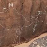 Древние резные изображения диких верблюдов в натуральную величину обнаружены в пустынях саудовской аравии