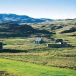 За 30 лет площадь растительности в Гренландии удвоилась