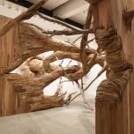 Художник превратил галерею в сказочный лес из искривленных деревьев