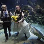 Свадьба в аквариуме с морскими черепахами
