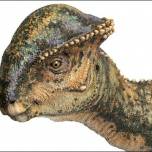 Пахицефалозавр назван королём бодания