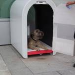 Dogbox, или парковка для собак
