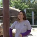 Слониха Шанти из зоопарка США обожает играть на губной гармошке