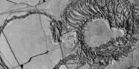 Ученые обнаружили окаменелого «китайского дракона»