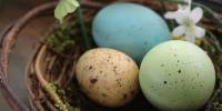 10 способов покрасить пасхальные яйца без «химии»
