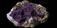 На севере англии археологи нашли невероятно редкий тирский пурпур