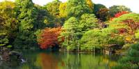 Сад рикугиэн в японии (rikugien garden)
