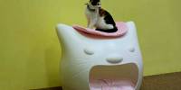 Домик для кошки kitty meow от studio mango