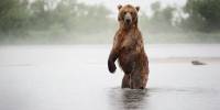 Лучшие фотографии россии 2011. номинация природа