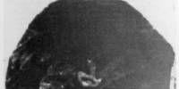 Китайский сверхдолгожитель ли цинъюнь прожил 256 лет