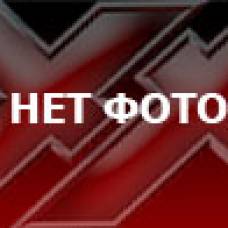 Необычные музеи, об ошейниках собак, и не только...