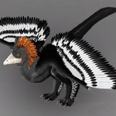 Окраска пернатых динозавров, возможно, реконструирована не совсем правильно