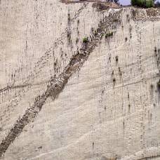 Cal orcko: 90-метровая стена со следами 5000 древних рептилий
