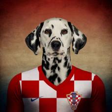 Собаки в форме игроков чемпионата мира по футболу