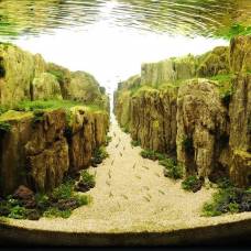 Подводные пейзажи современных аквариумов