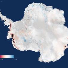 10 интересных фактов об антарктиде