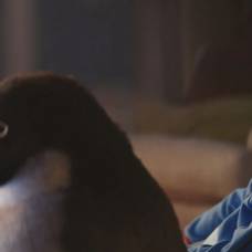 Пингвин из рождественской рекламы набрал миллионы просмотров на youtube