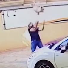 Бразилец спас падающую с 9 этажа собаку