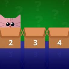Головоломка: кошка в коробке