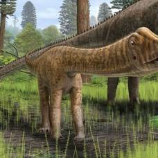 Останки диплодока эндрю раскрыли новые данные о юности травоядных динозавров