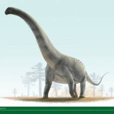 5 самых маленьких и 5 самых больших динозавров