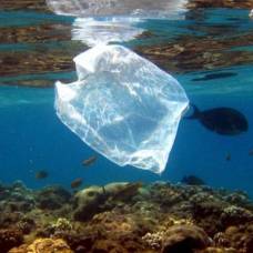 Создан биоразлагаемый пластик, при производстве которого вообще нет отходов