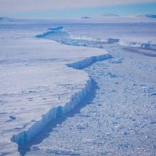 Ледник туэйтса в антарктиде за 40 лет стал тоньше на четверть