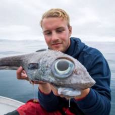 Рыбак выловил рыбу с аномально большими глазами и съел ее