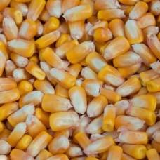 Почему люди не переваривают кукурузу и полезно ли это растение