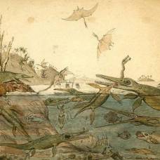 Ученые рассказали, как морские динозавры делили добычу
