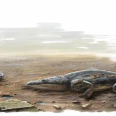 Метопозавр (лат. metoposaurus algarvensis)