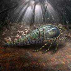 Последний из ракоскорпионов смог дожить до великого пермского вымирания