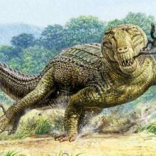 Боверизух (лат. boverisuchus) - «крокодил-пила»