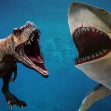 Кто победил бы в схватке между мегалодоном и тиранозавром рексом